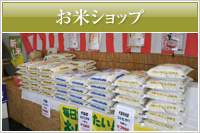 生産米・玄米